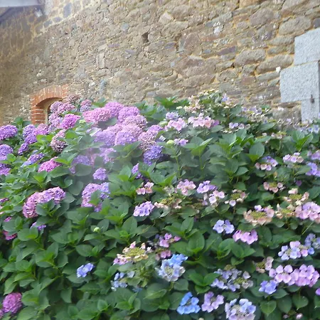 Les Champs De Roz